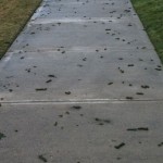 photo-3